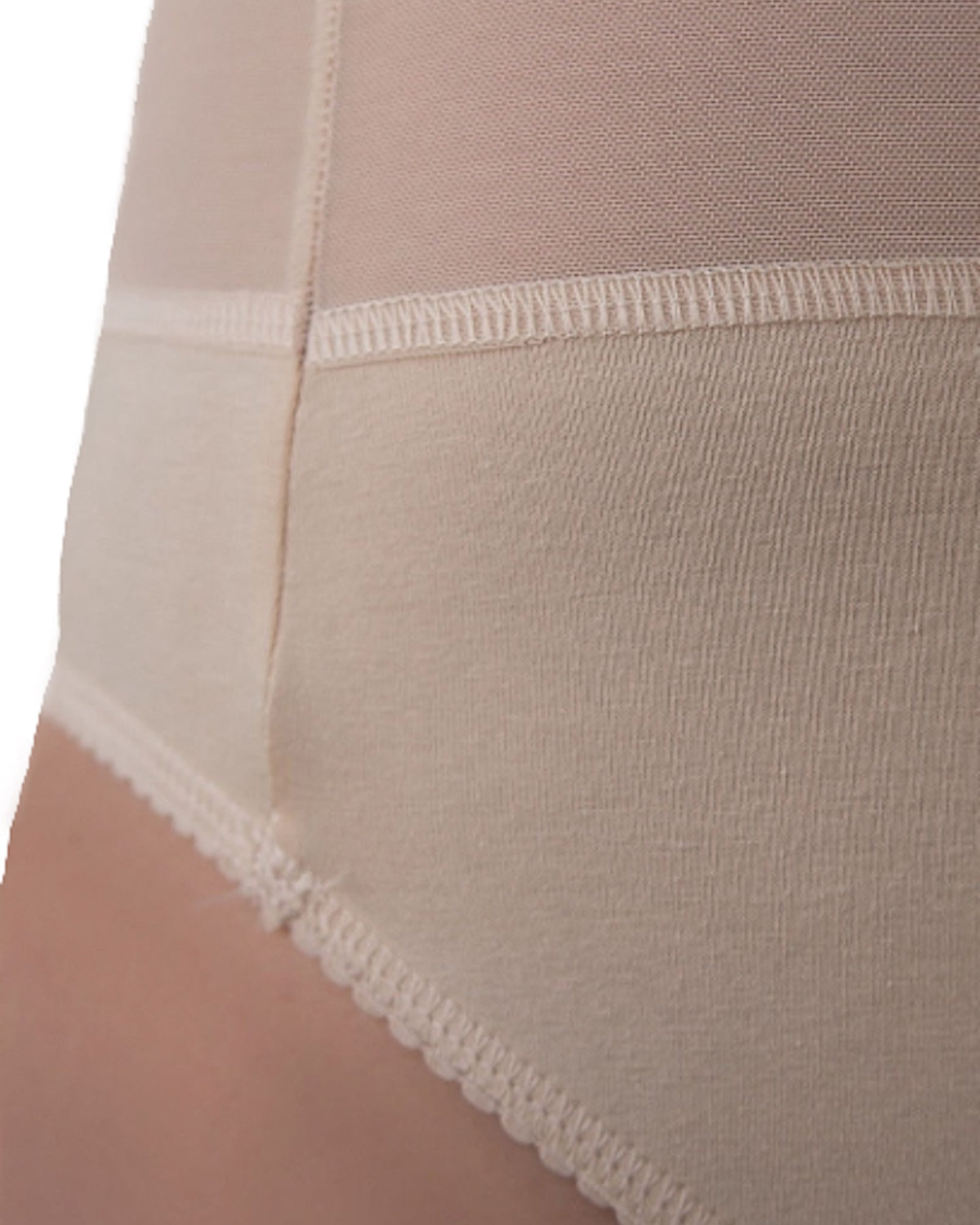 Plus Size High-waist Panties Full Coverage, Procyon