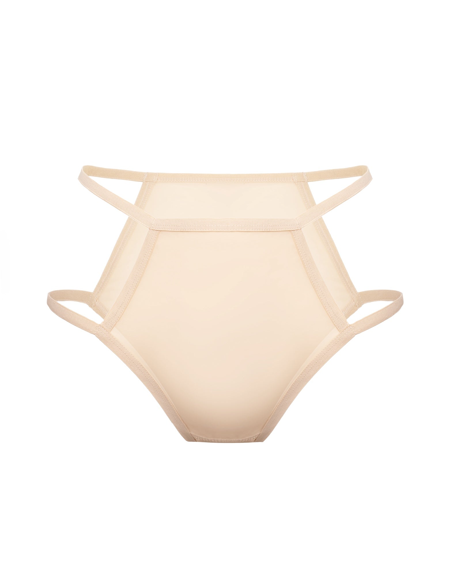 Sheer Mesh Briefs, Teja